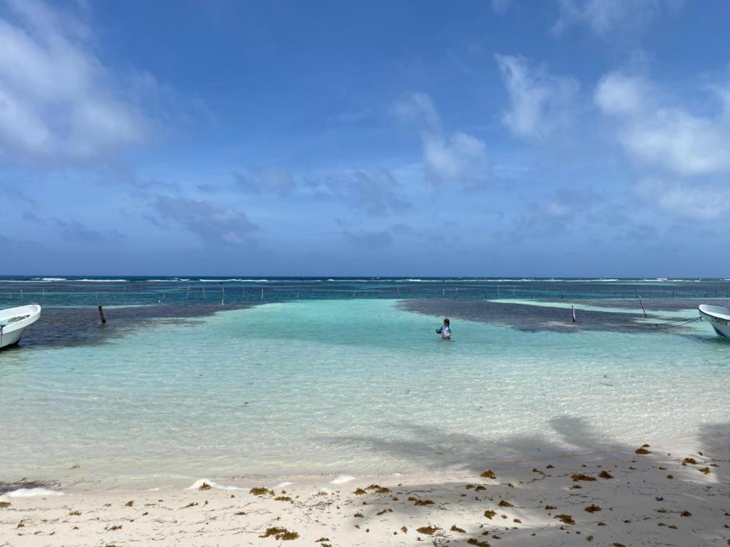 Penthouse With Roof ,Frente Al Mar By Blue Reef! Appartement Mahahual Buitenkant foto